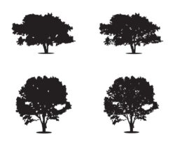 Tree silhouette vector
