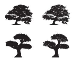 Tree silhouette vector