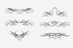 Vector Calligraphic Elements Pack