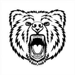 vector illustration of bear head logo