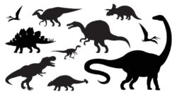 Vector set of dinosaurs silhouette