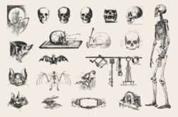 Vintage Skulls & Spooky Illustrations