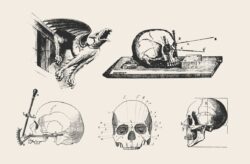 Vintage Skulls & Spooky Illustrations 03