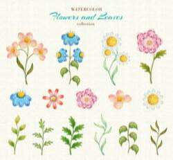 Watercolor flowers and leaf
