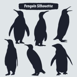 Collection of Penguin Silhouette