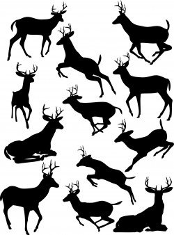 Deer silhouette Vector