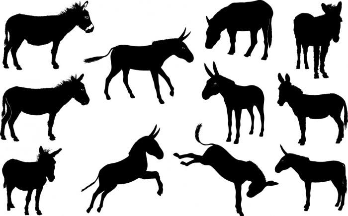 Donkey silhouette Vector