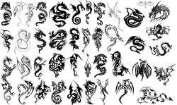 Dragons silhouette Vector