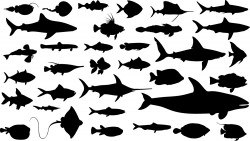 Fish silhouettes Vector