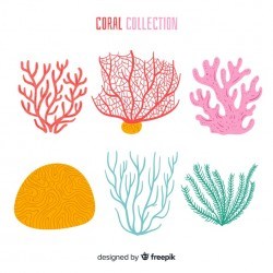 Hand drawn coral collection