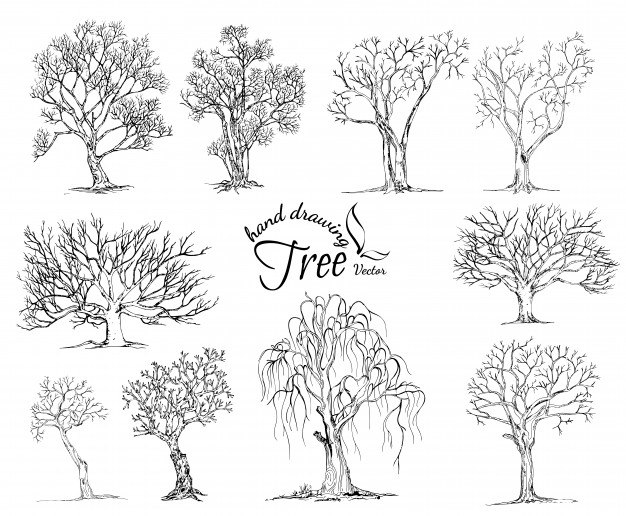 Hand drawn tree isolated on white background Vector
