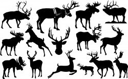 Reindeer silhouettes Vector