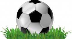 Soccer ball on grass Vector