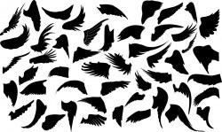 Wings silhouette Vector